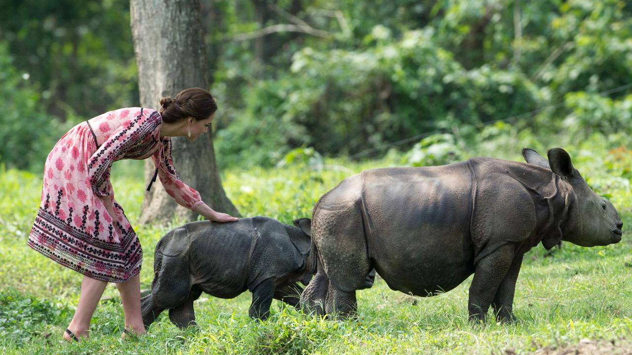 The royal couple spent a week touring India and Bhutan. Picture: Arthur Edwards/Pool/Getty Images