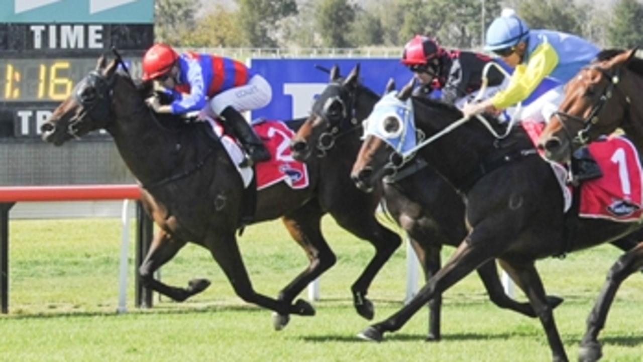 Great Southernland (left) can break through for his maiden win. Picture: Bradley Photos