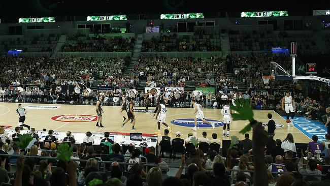 Membership and crowd attendances have been well above South East Melbourne Phoenix expectations. Picture: Daniel Pockett/Getty