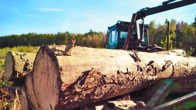 Wade Sawmill has a job going for a log rounding machine operator for up to $100,000 per annum. Picture: istock