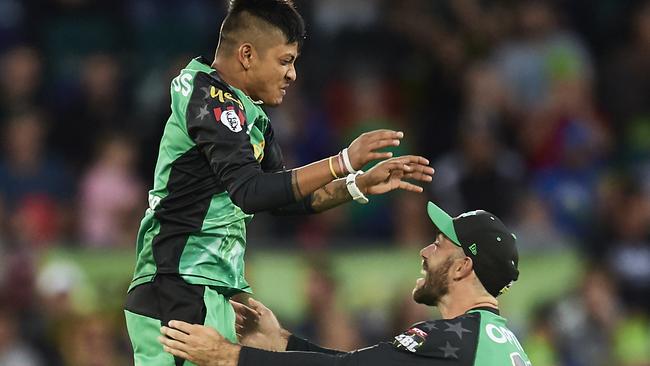 Sandeep Plamichhane, seen celebrating with Stars skipper Glenn Maxwell, is learning from the best and having a ball while doing it. Pic: Getty Images