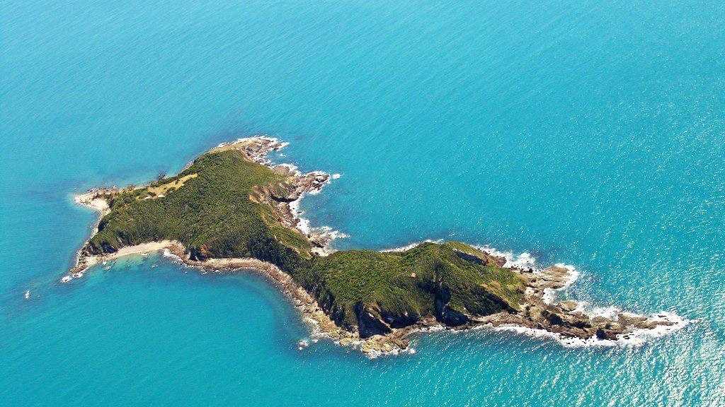 PARADISE: Aerial view of the recently sold Wedge Island, dubbed "party island”, off the Emu Park coast. Picture: Contributed