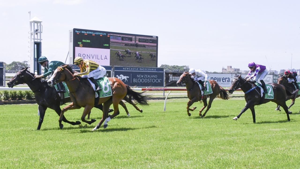 Andrea (purple and white) finished fifth to Frostfire on debut. Picture: Bradley Photos
