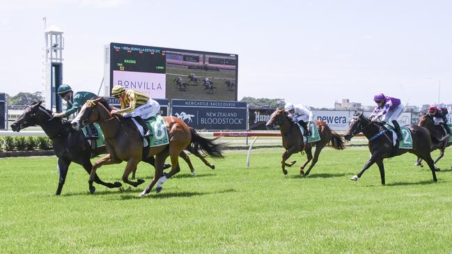 Andrea (purple and white) finished fifth to Frostfire on debut. Picture: Bradley Photos