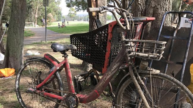 A number of share bikes have been pulled from Curl Curl lagoon.