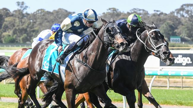 Interpretation charges home to win the Bendigo Cup on Wednesday. Picture: Brett Holburt/Racing Photos via Getty Images