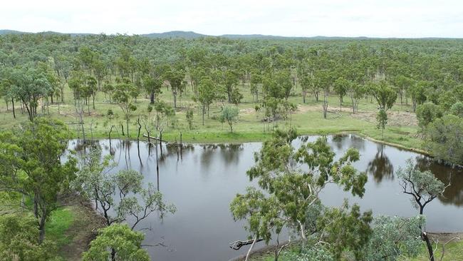 The 27,000ha Rhonella Park at Greenvale is located in Queensland’s Charters Towers region.