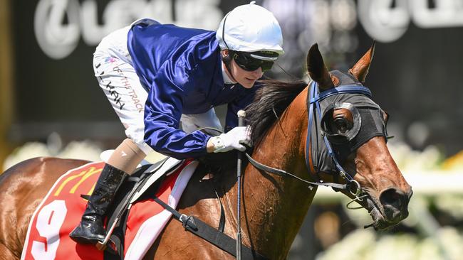 The Map and jockey Jamie Kah could be in line to combine again in the $8m Melbourne Cup at Flemington in November. Picture: Racing Photos via Getty Images