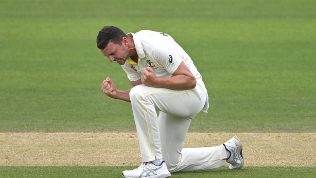 Josh Hazlewood celebrates making the crucial early breakthrough on day five. Picture: Getty