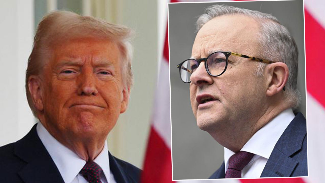 ’A lot of acronyms’: Albanese downplays Trump’s major gaffe