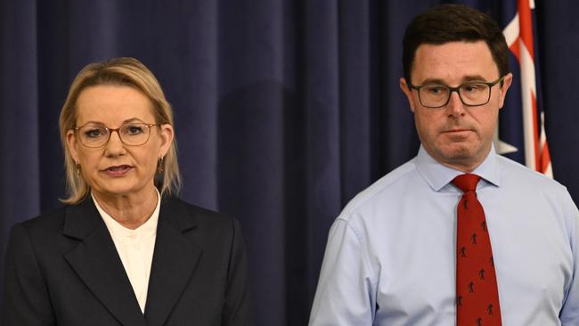 Leader of the Opposition Sussan Ley and Nationals leader David Littleproud on Wednesday afternoon. Picture: NewsWire / Martin Ollman