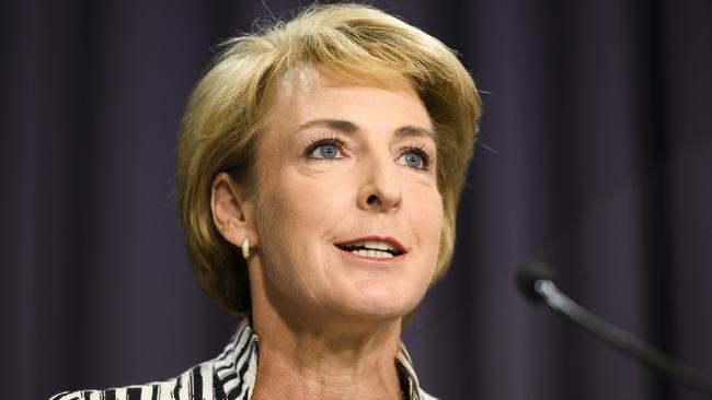 Michaelia Cash says social restrictions imposed during the COVID-19 pandemic had a devastating impact on the ­economy.