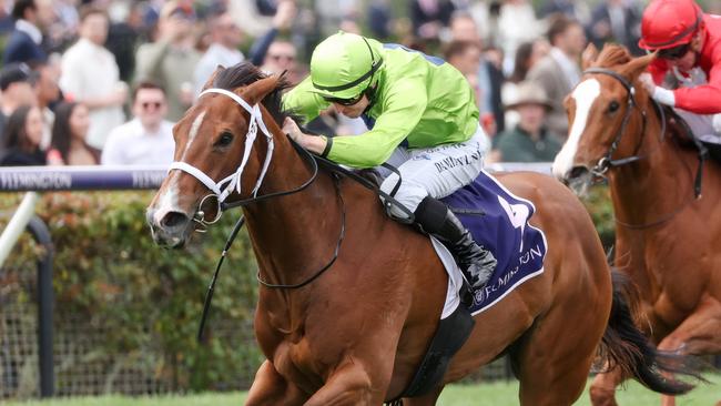 Stretan Angel ridden by Damian Lane wins the World Pool Danehill Stakes at Flemington Racecourse on October 07, 2023 in Flemington, Australia. (Photo by George Sal/Racing Photos via Getty Images)