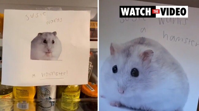 Girl's 'propaganda campaign' for a hamster is next level