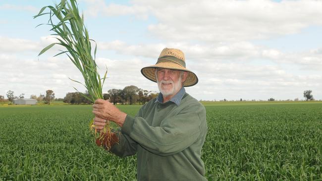 High hopes: Urana NSW farmer Alan Urquhart.