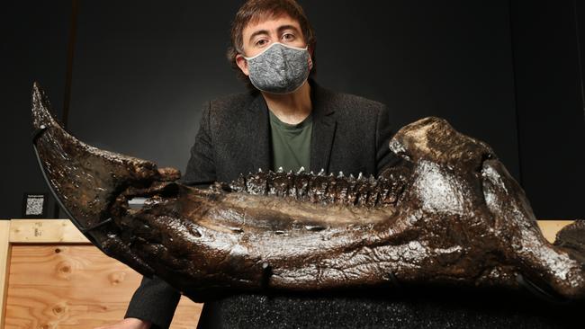 Senior curator of vertebrate palaeontology Erich Fitzgerald with the jaw bone and teeth of the almost perfectly preserved dinosaur. Picture: David Caird