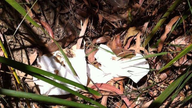 Sally McDonald found used toilet paper beside the Yarra River in Warburton East.