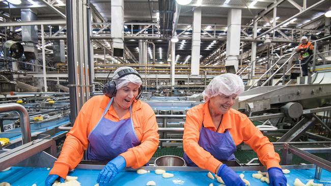 Mandy McDonald and Sue Farren sort for blemishes. Picture: Jason Edwards