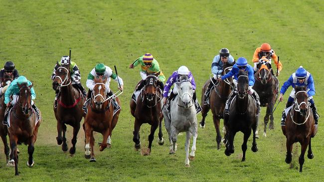 Winx (right) announces her arrival at the 100m. Picture: Sam Ruttyn