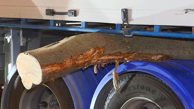 The truck came to a crushing halt when it struck a tree. Picture: Frank Redward