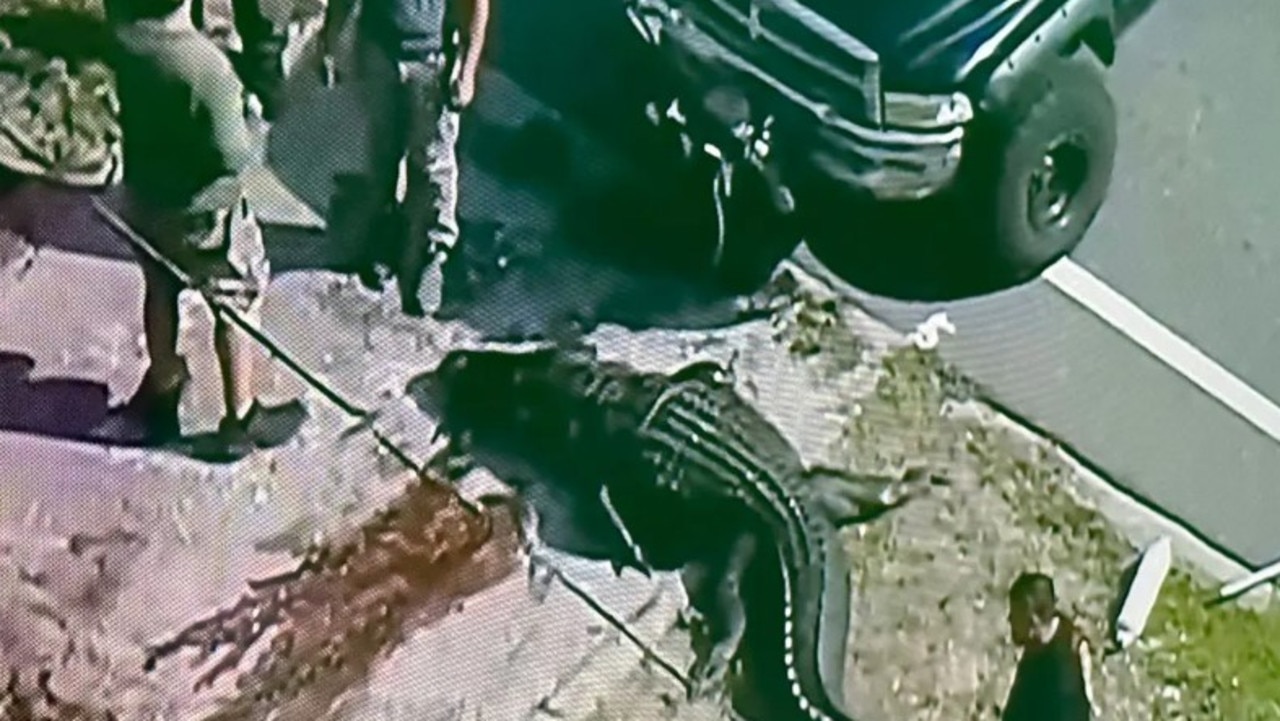 Aligator zginął po wniesieniu martwego ciała do kanału na Florydzie