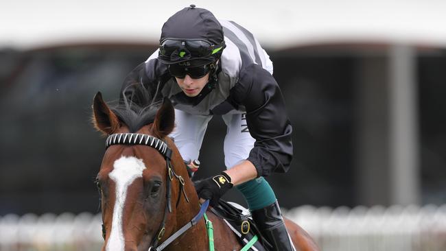 Robbie Dolan has a good book of rides at Warwick Farm on Wednesday, including Elizabeel for trainer John Sargant. Picture: AAP