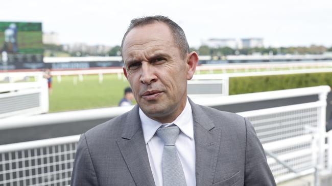 A Chris Waller-trained galloper looks hard to beat on Wednesday. Picture: Mark Evans - Getty Images