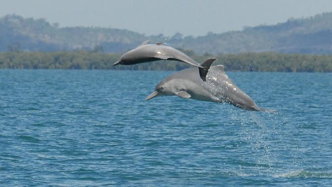 Protected zones in the Great Sandy Marine Park will increase by 9 per cent in 2024 in an effort to boost biodiversity and tourism opportunities.