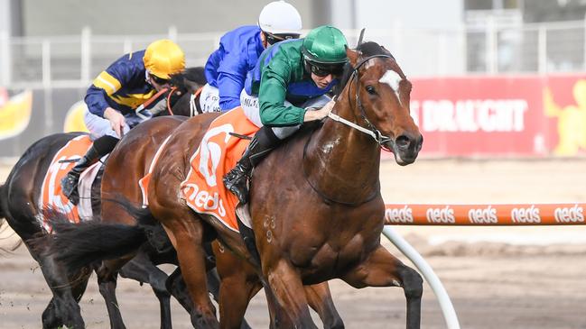 Three-year-old Jacquinot is an emerging talent. Picture: Racing Photos via Getty Images