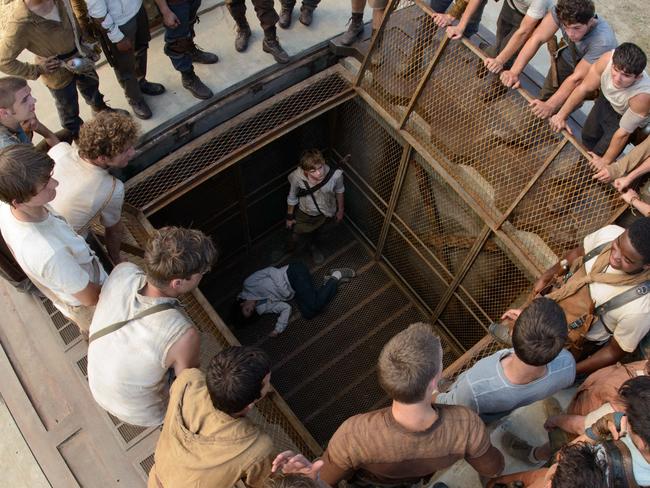 The Maze Runner. Picture: Supplied