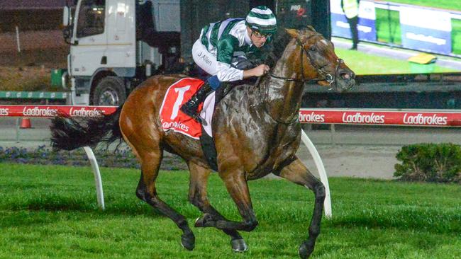 Ziryab, ridden by John Allen, wins at Cranbourne on April 5. Picture: Ross Holburt / Racing Photos