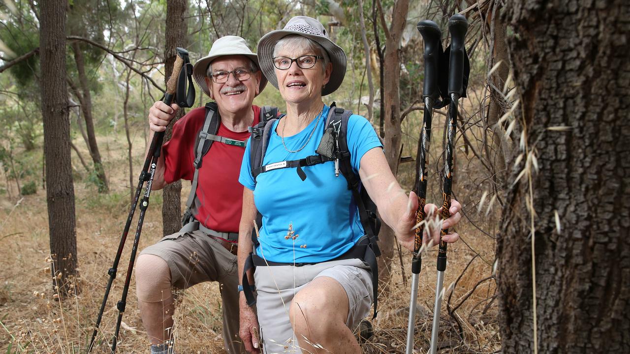 Townsville City Council calls on builders to tender for Mount Louisa walking track project ...
