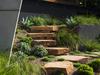 HOME LANDSCAPE Wategos garden designed by Secret Gardens of Sydney