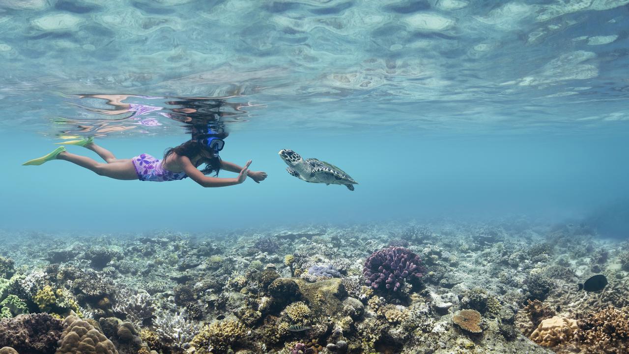 A girl snorkelling and waving at a turtle on coral reef in Fiji, the fourth most popular destination for Australian travellers. Picture: Tourism Fiji