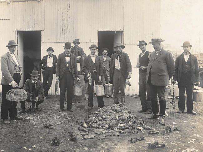 Photographs taken when the bubonic plague hit The Rocks in Sydney in January 1900. Picture: NSW State Library