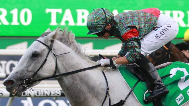 Kathy O'Hara (pictured) rides the promising Ribeauville for trainer Jason Coyle. Picture: Grant Guy