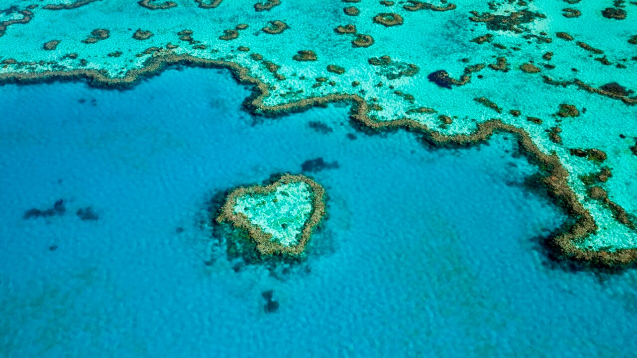 Great Barrier Reef avoids UNESCO 'in danger' listing