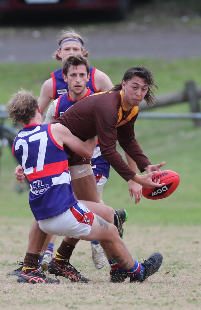 BFL: Drysdale v Queenscliff