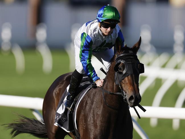 SYDNEY, AUSTRALIA - JULY 09: Reece Jones on Waihaha Falls returns to scale after winning race 7 the Bowermans Handicap during Sydney Racing at Royal Randwick Racecourse on July 09, 2022 in Sydney, Australia. (Photo by Mark Evans/Getty Images)