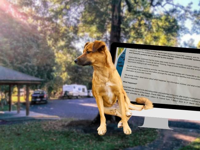 A Cassowary Coast resident had his personal data stolen following a call to report a lost dog at the Bilyana rest stop.