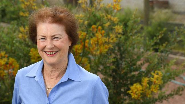 Former councillor Sheila Ireland is putting her hand up as a candidate for division 1 in the Ipswich City Council election.