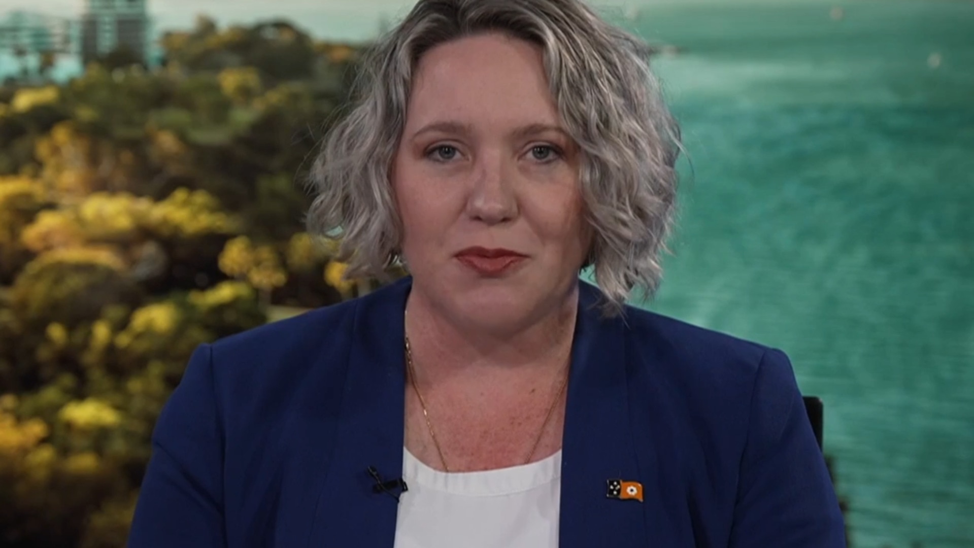 ‘Absolute mess’: Lisa Bayliss slams Labor’s record in the Northern Territory