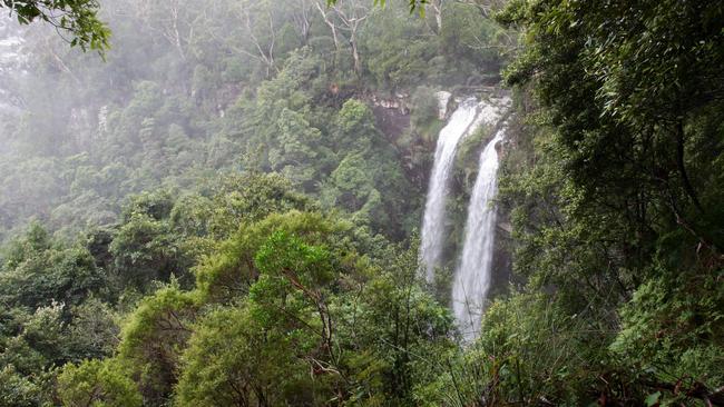 Rainforest scenes from Springbrook National Park in the Gold Coast Hinterland. Canyon Lookout's Twin Falls.