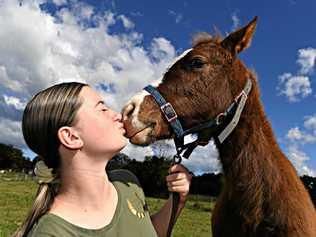 SMOOCH: Forest Glen Horse Rescue volunteer Kylah Nunn with three month old horse, Soraya. Picture: Warren Lynam