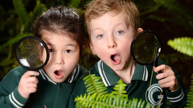 Naomi and Jackson at Greensborough Primary School. You don’t need to go far in Australia to embark on a journey of wildlife discovery – it’s there in your own backyard. Literally. Experts believe there are so many Australian insect species yet to be identified that the average suburban garden, even in major cities like Sydney or Melbourne. Picture: Josie Hayden