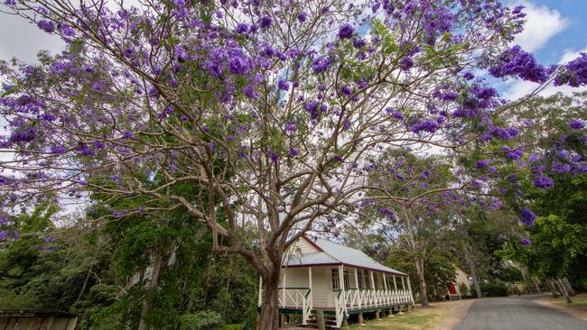 Discover Old Petrie Town. Picture: Dominika Lis