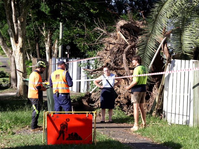 Major storm damage on Gallipoli Rd, Camp Hill on Thursday afternoon. Photo Steve Pohlner