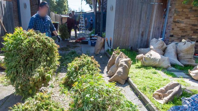 Police executed two search warrants at 6.30am. Picture: Jay Town