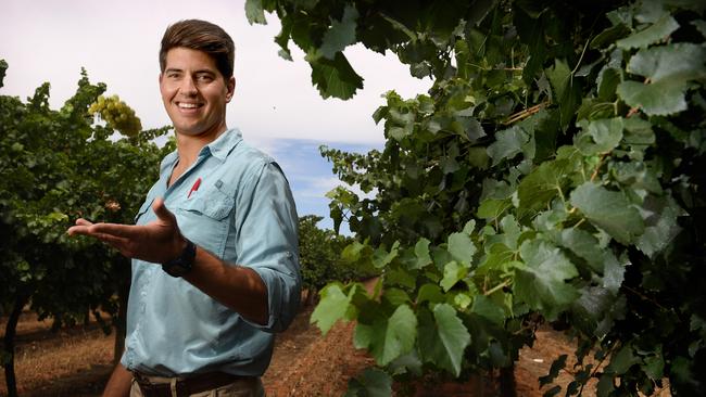 Winemaker Armand Lacomme of Riverland Vintners among the vines in Monash. Picture: Naomi Jellicoe