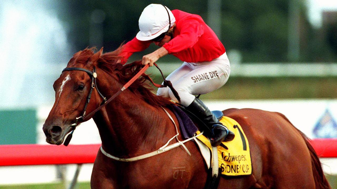 Tie The Knot with the famous Tait family colours winning the Sydney Cup.